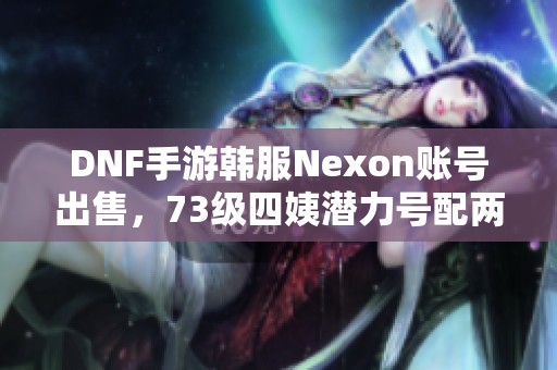 DNF手游韓服Nexon賬號(hào)出售，73級(jí)四姨潛力號(hào)配兩套天空裝備