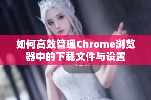 如何高效管理Chrome瀏覽器中的下載文件與設(shè)置