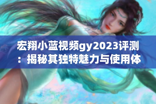 宏翔小藍(lán)視頻gy2023評測：揭秘其獨(dú)特魅力與使用體驗(yàn)