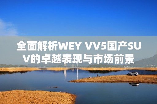 全面解析WEY VV5國產SUV的卓越表現(xiàn)與市場前景