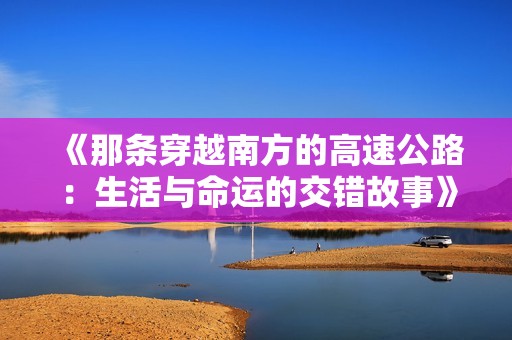 《那條穿越南方的高速公路：生活與命運(yùn)的交錯(cuò)故事》