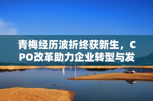 青梅經(jīng)歷波折終獲新生，CPO改革助力企業(yè)轉(zhuǎn)型與發(fā)展