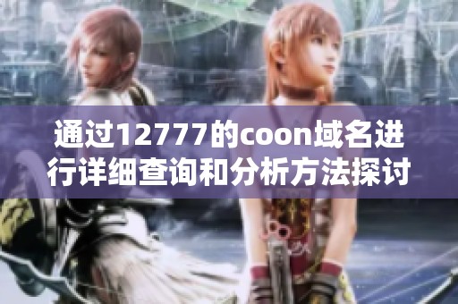 通過12777的coon域名進行詳細查詢和分析方法探討