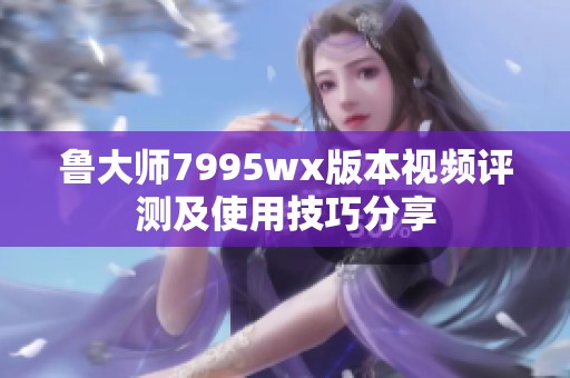 魯大師7995wx版本視頻評測及使用技巧分享