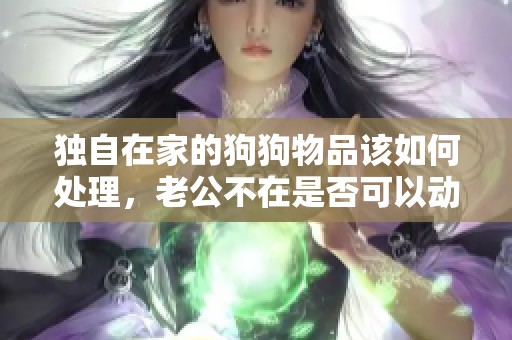 獨(dú)自在家的狗狗物品該如何處理，老公不在是否可以動(dòng)用