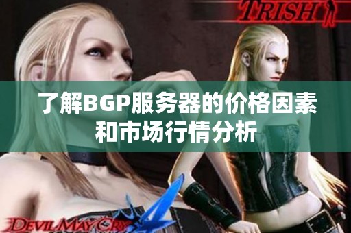 了解BGP服務(wù)器的價格因素和市場行情分析