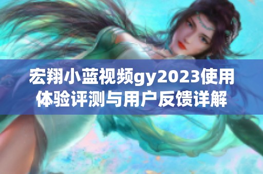 宏翔小藍視頻gy2023使用體驗評測與用戶反饋詳解