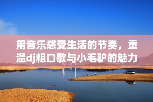 用音樂感受生活的節(jié)奏，重溫dj粗口歌與小毛驢的魅力